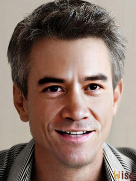 6 inch Remy Human Grey Straight Short Wig Hair For Men
